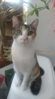 NALA