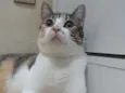 NALA