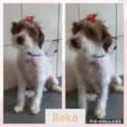 BEKA