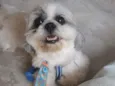 Bob