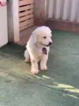 Nicholas
