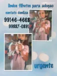 Sem nomes