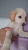 Billy