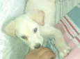 Billy