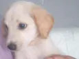 Billy
