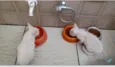 Gatos
