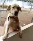 Marley 