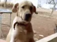 Marley 