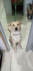 Bêlla