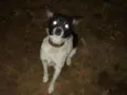 Preta