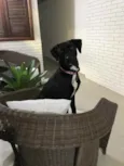 Nina