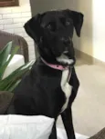 Nina