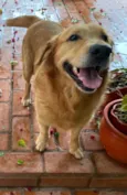 Marley