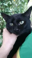 Mimi