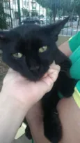 Mimi