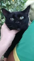 Mimi