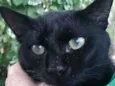 Mimi