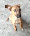 Dorinha