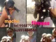 Filhotes