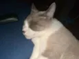 Cláudio
