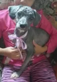 Ana clara