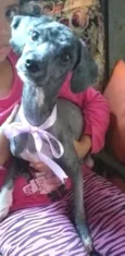 Ana clara