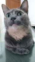 Agnes