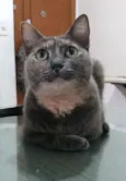 Agnes