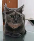 Agnes