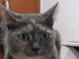 Agnes