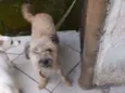 Nina