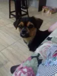 Bucky