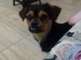 Bucky