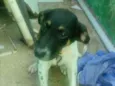 Marley