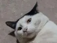 Joaquim