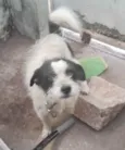 Belu 