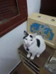 Lucky