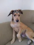 Jade