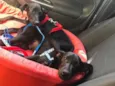 Ivy e Joaquim