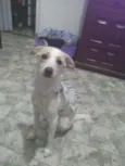 Lola