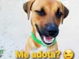 _SEM NOME_