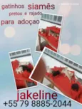 Lorrane e lola