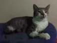 Miguel