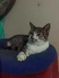 Miguel