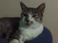 Miguel