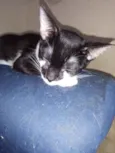 Théo