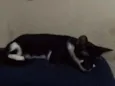 Théo