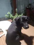 Nina