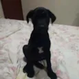 Nina