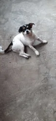 Princesa